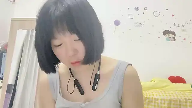 Belle-LL webcam
