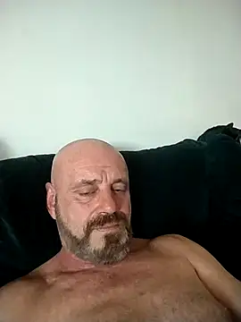 wilkalfa webcam