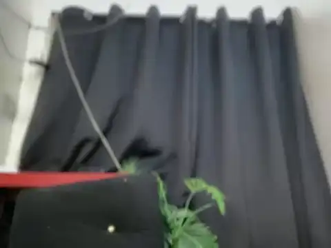 spicy_margaritaxxx webcam