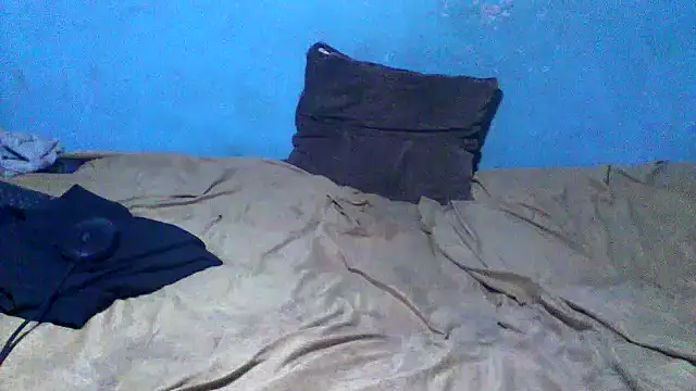 little__joy webcam