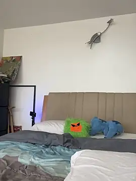 nth-li webcam