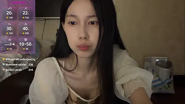 DD-5200 webcam