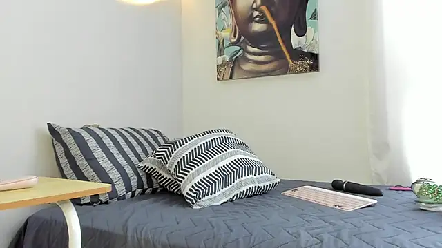 WowAna webcam