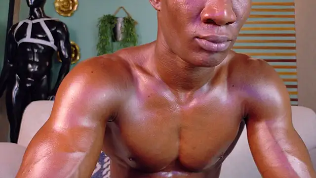 martin_killer webcam