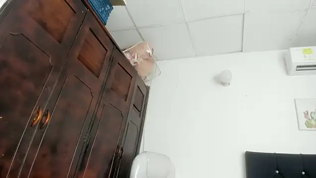 Modèle: barbie_ds