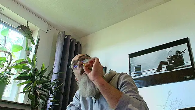 Kingsscepter webcam