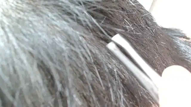 sonyx live sex cam