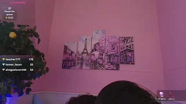 Inari_Okami_ webcam