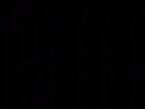chronic_vibez