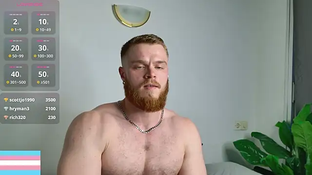 VictorTransMan webcam