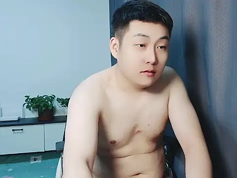 Llpl322 webcam