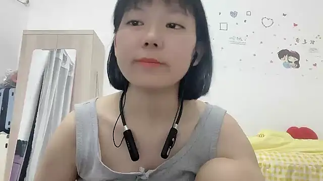 Belle-LL webcam