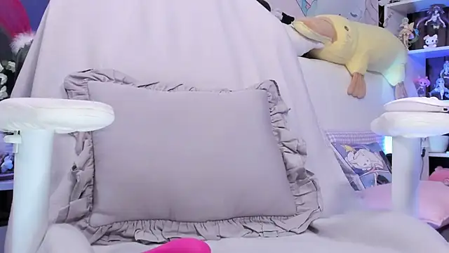 Supaidagaru webcam