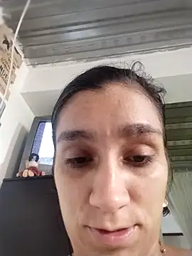 vegonicarouge webcam