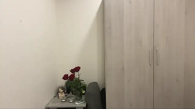 GooLana webcam