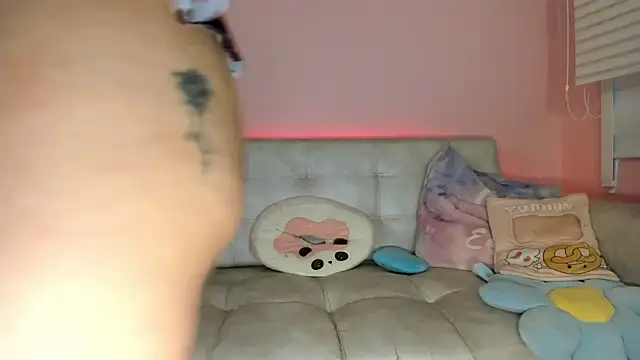 tinysara webcam