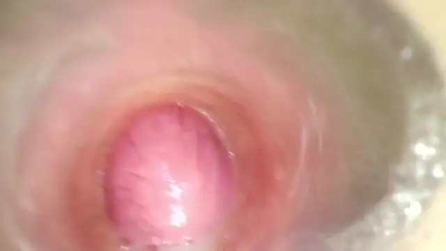 karol_kane webcam