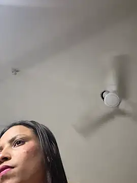 torchermachine webcam