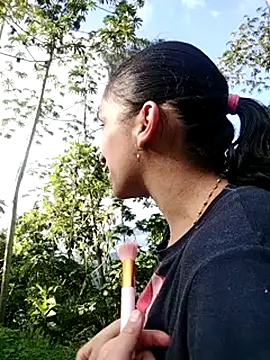 vegonicarouge webcam