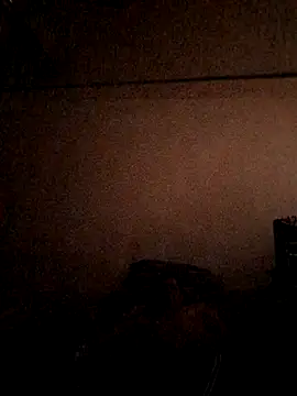 CrinoidWildfire webcam