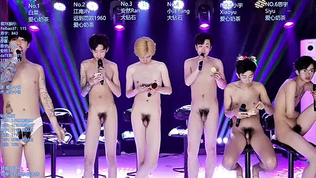 AOA-MIC webcam