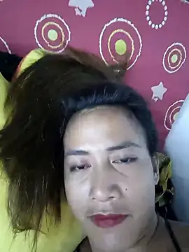 nica20 webcam