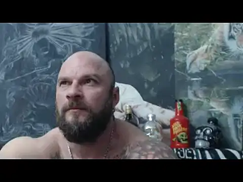 Preview of viking_30