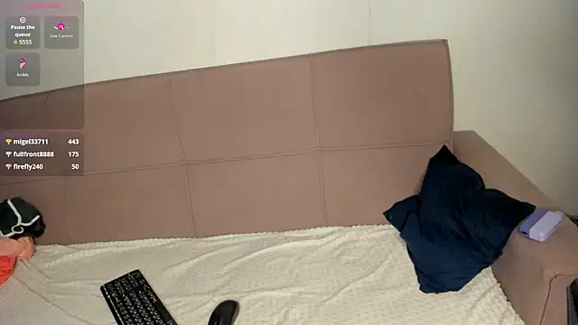 Shadow_blink webcam