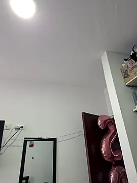 IrisBound webcam