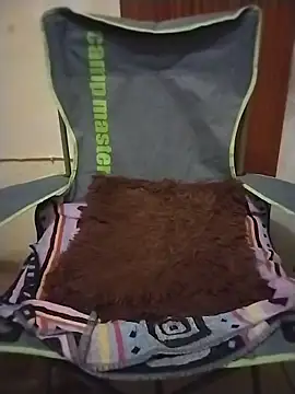 SteedyGee webcam