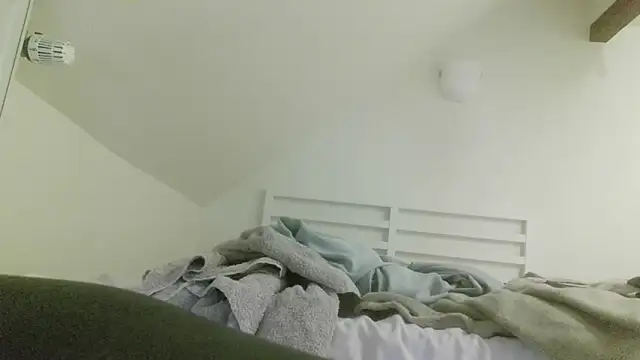 koloLoo32 webcam
