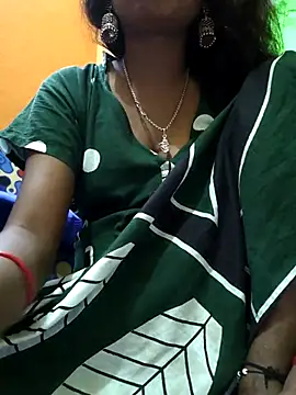 jasss-11 webcam