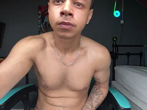 l-laross webcam