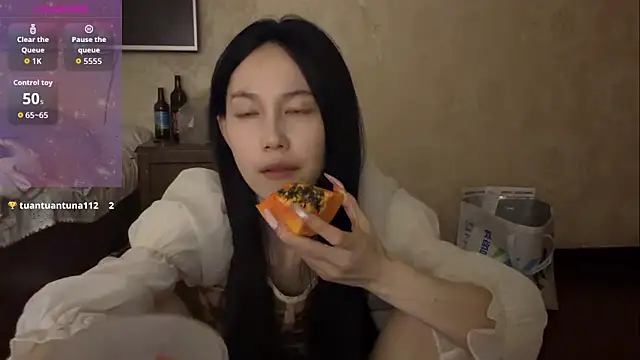 DD-5200 webcam