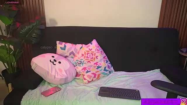 calypso_and_g2 webcam