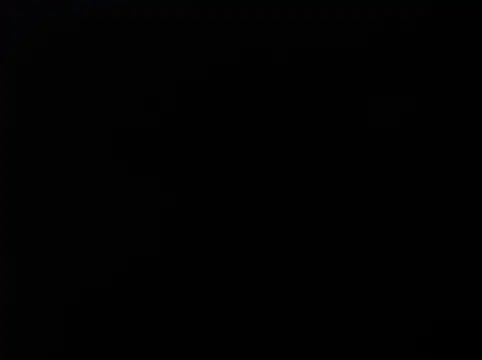 ShadowDesi webcam