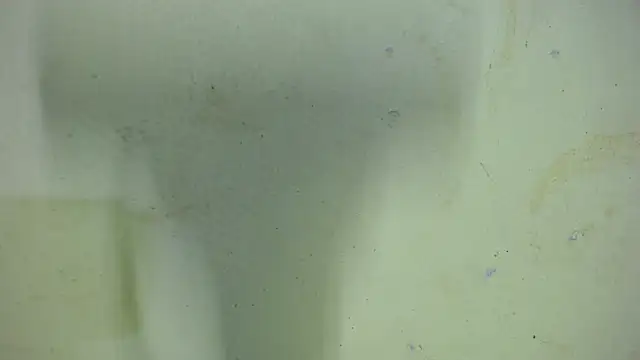always-hot3 webcam