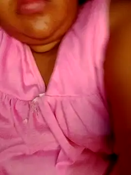 Dilki-udara webcam