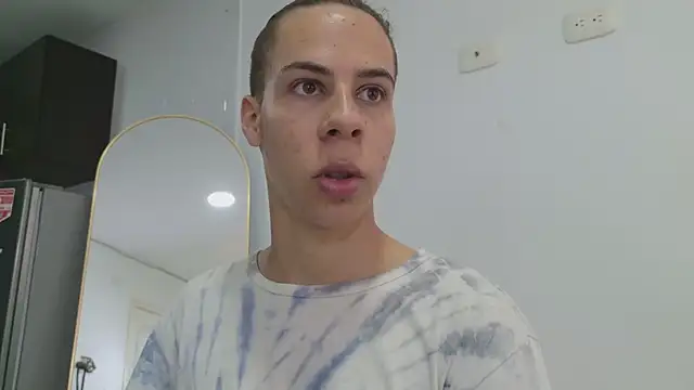 grey___27 webcam