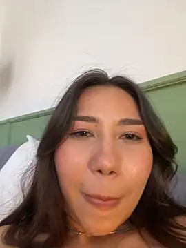 Aimilayne webcam