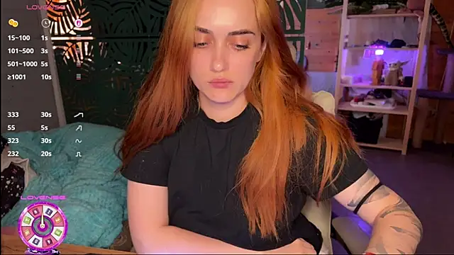 _dota2_ webcam