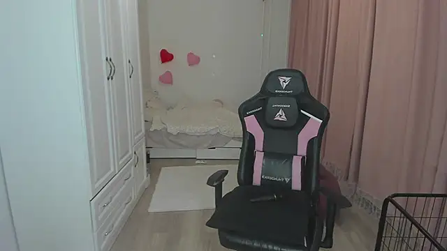 cass1e webcam