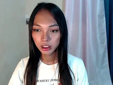 SimiLause webcam