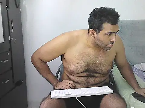 IronSideBear webcam