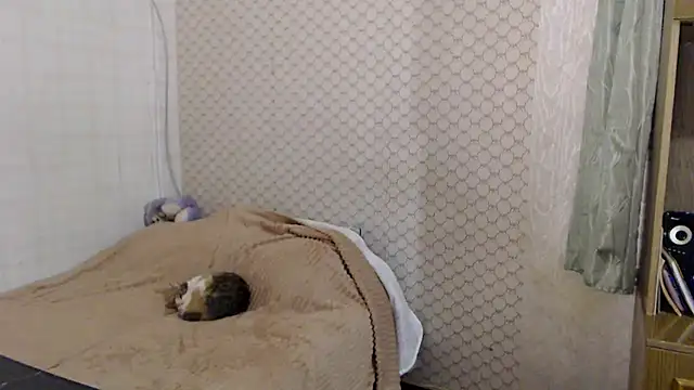 Janiffer_MiMi webcam