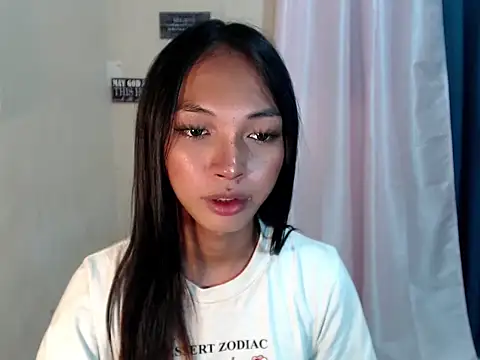 SimiLause webcam