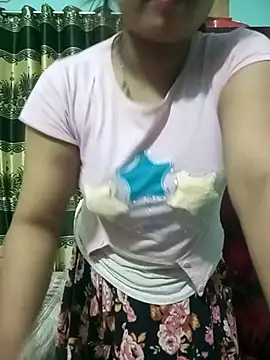 Sumi-roy webcam