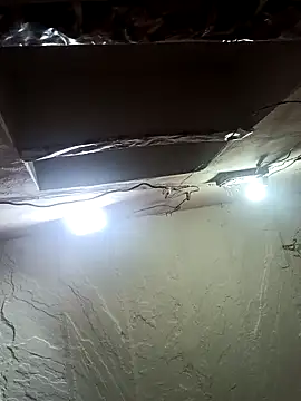 Deepjakolirr webcam