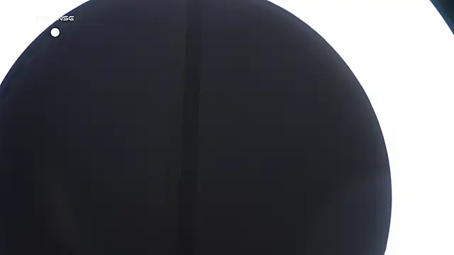 EdlinAlliston webcam