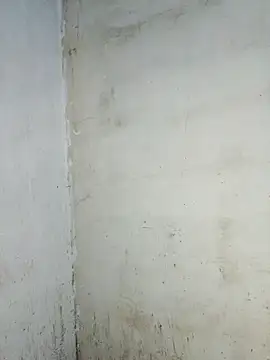 Tequilamaster webcam
